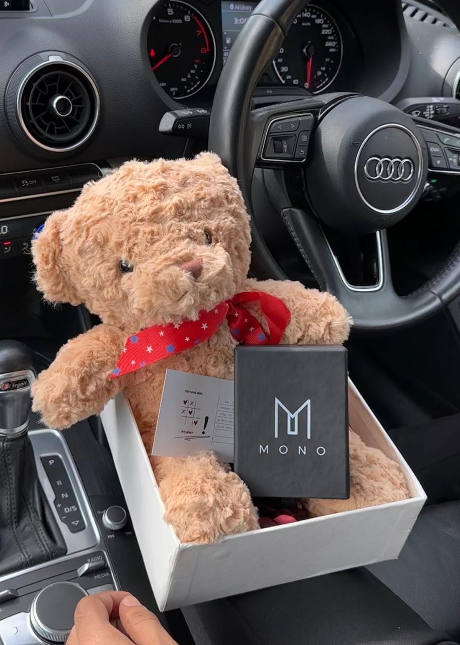 Snuggle Premium Box - Brown Main image