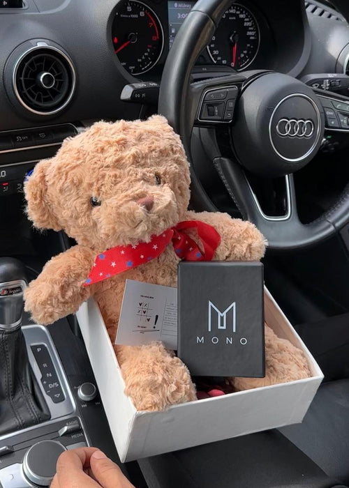 Snuggle Premium Box - Brown