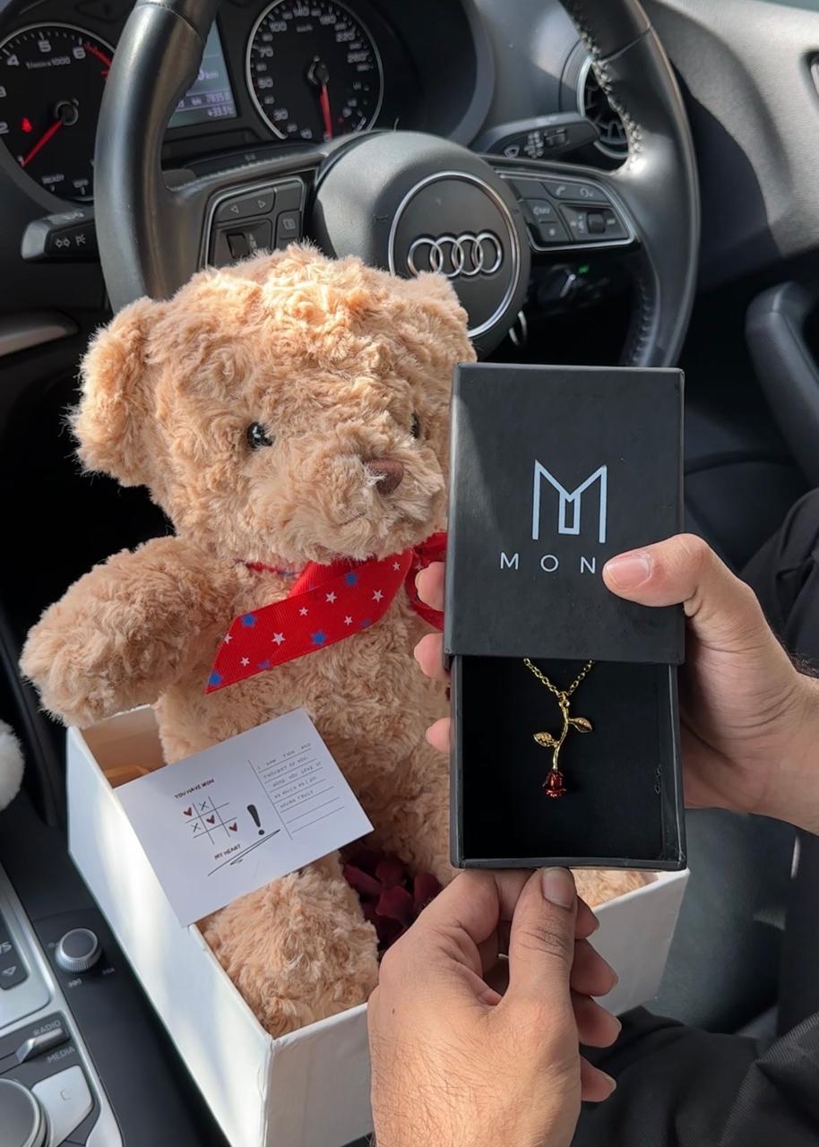 Snuggle Premium Box - Brown